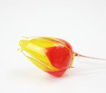 Loranto + Tulp, rood-geel